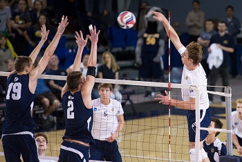 Mens Volleyball Shorts